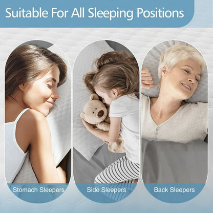 TrueBlue Comfort Pillow