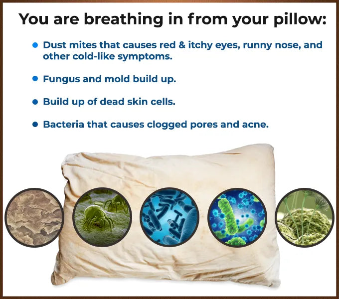 CarbonIce - 7 in 1 Bacteria Protection and Cooling Pillow